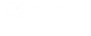 Dominus IT